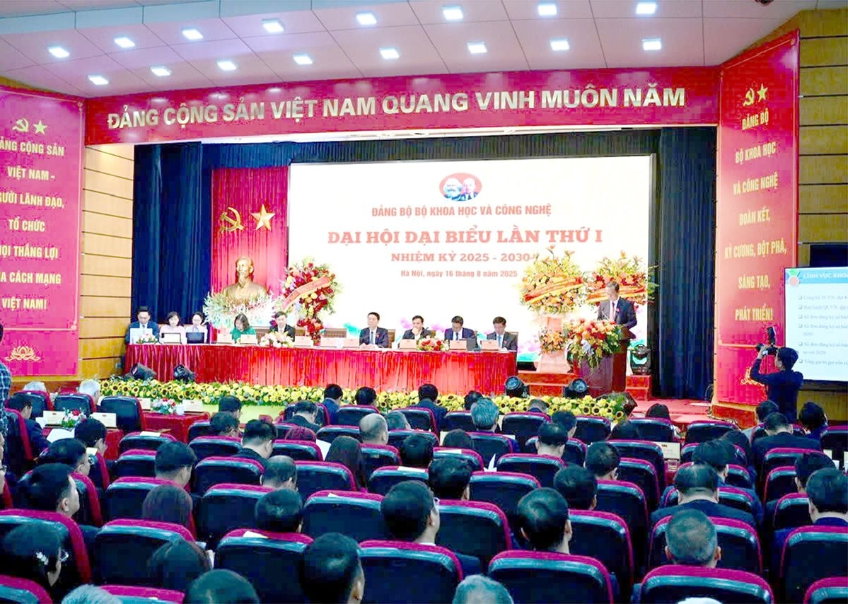 toan-canh(1).jpg