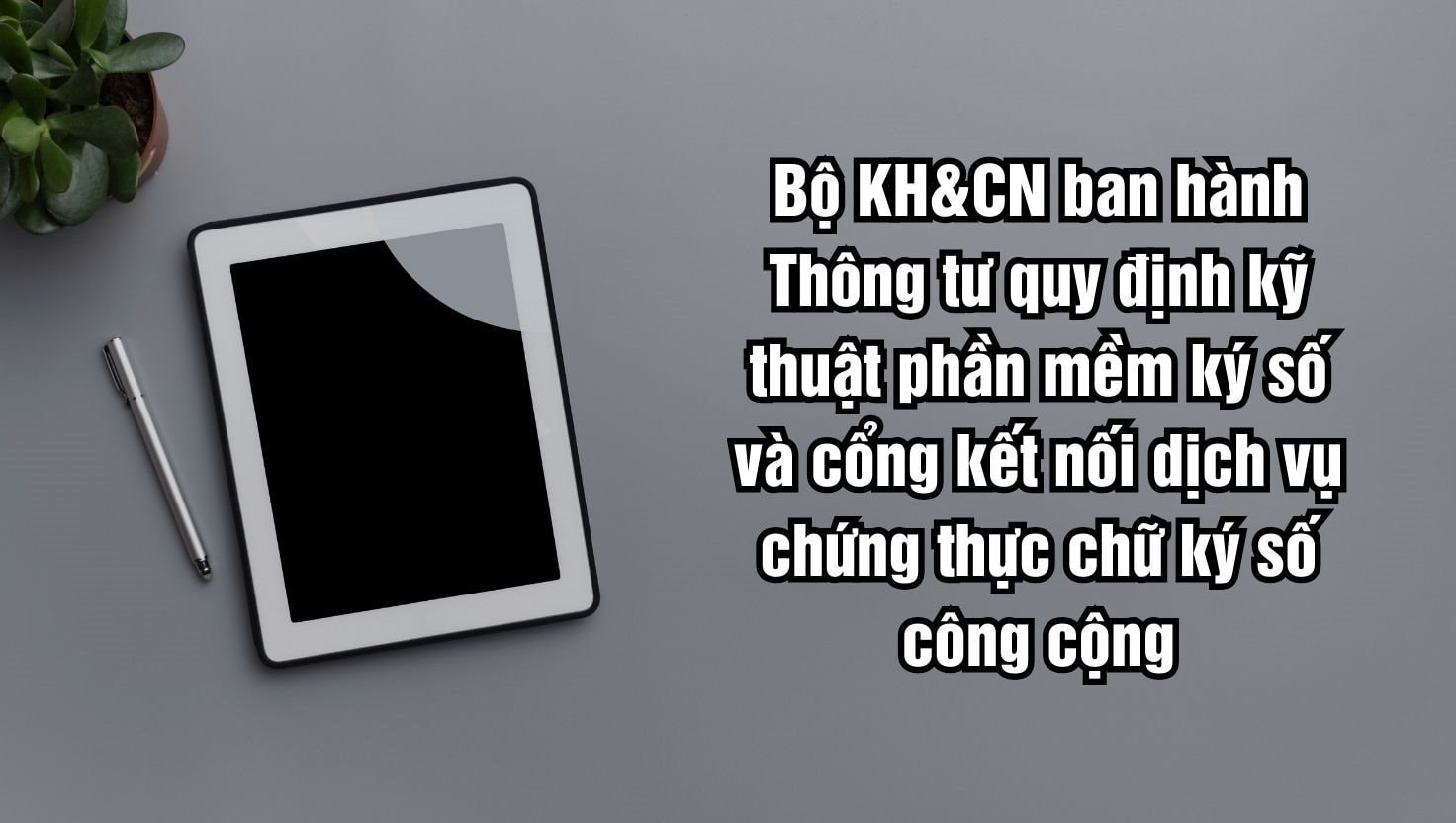 anh-mh-3.jpg