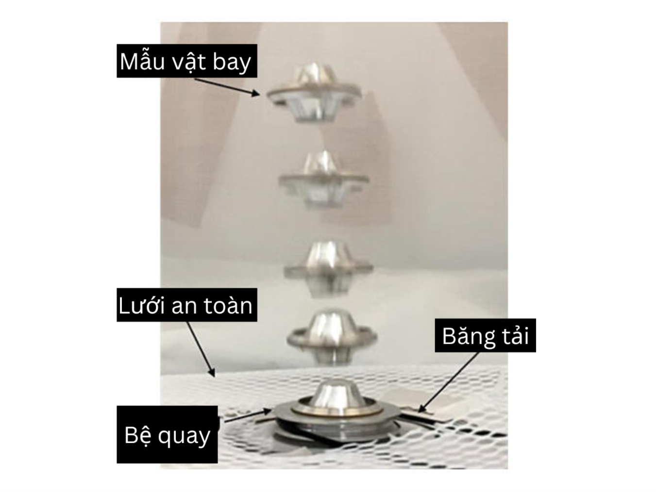 than-chinh-1-(2).png