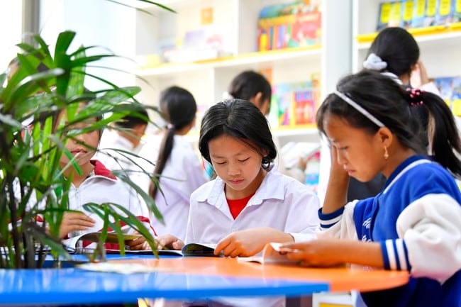 Thư viện công cộng đẩy mạnh chuyển đổi số: Kết nối tri thức, phục vụ học tập suốt đời - Ảnh 1.