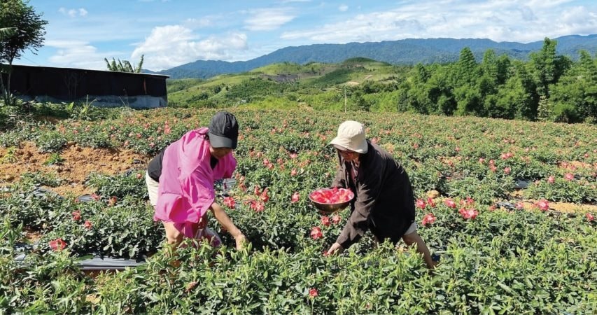binh-dang-vinh.jpg