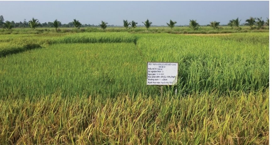 kien-giang.jpg
