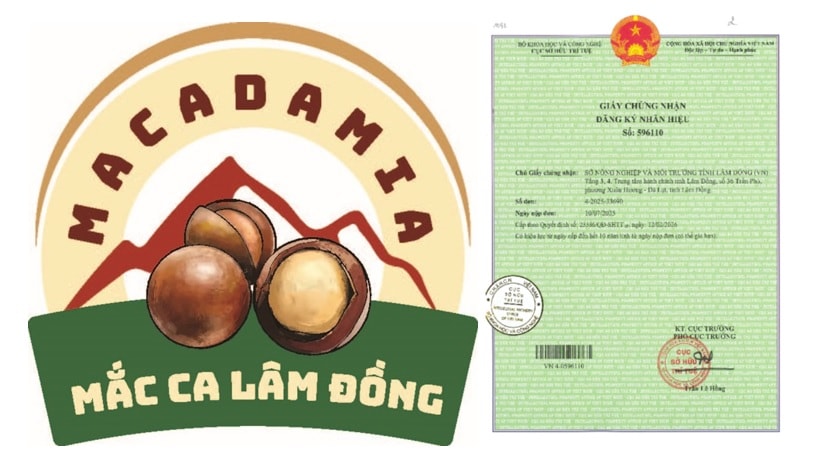Mắc ca Lâm Đồng-1