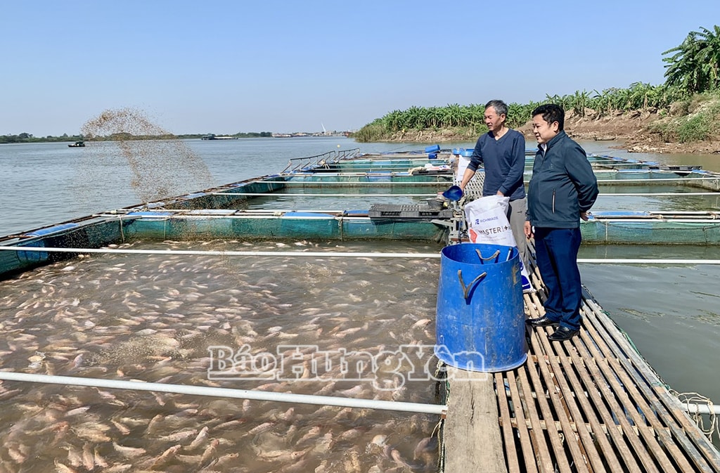 106190_mo_hinh_nuoi_ca_long_cua_nong_dan_xa_le_quy_don_09325731.jpg
