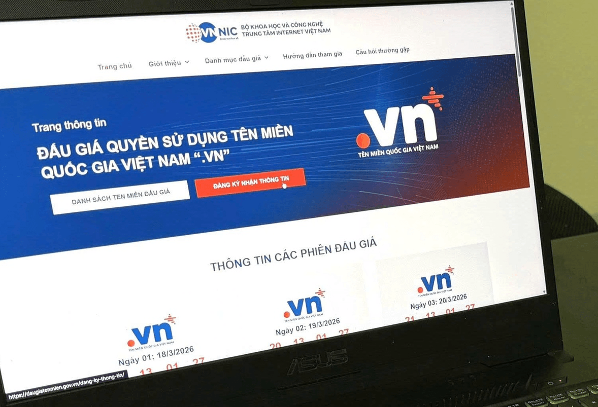 Dau gia ten mien