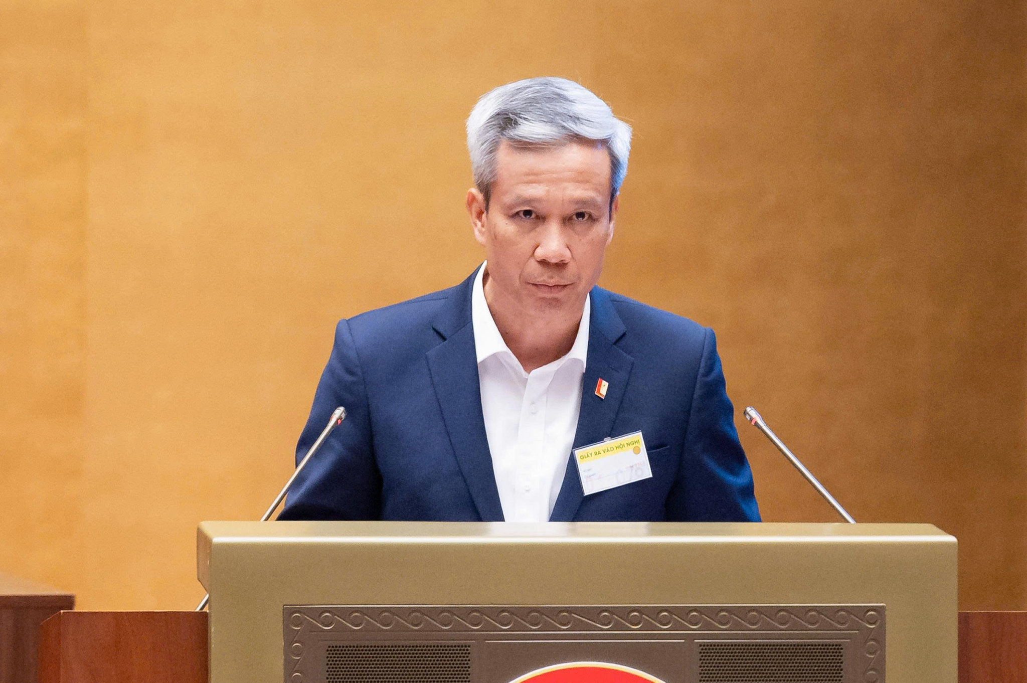 GS. TS. Le Anh Tuan