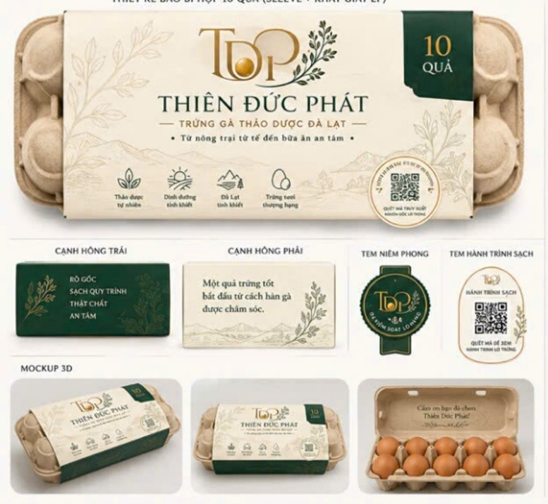 438-202607291523572.jpg