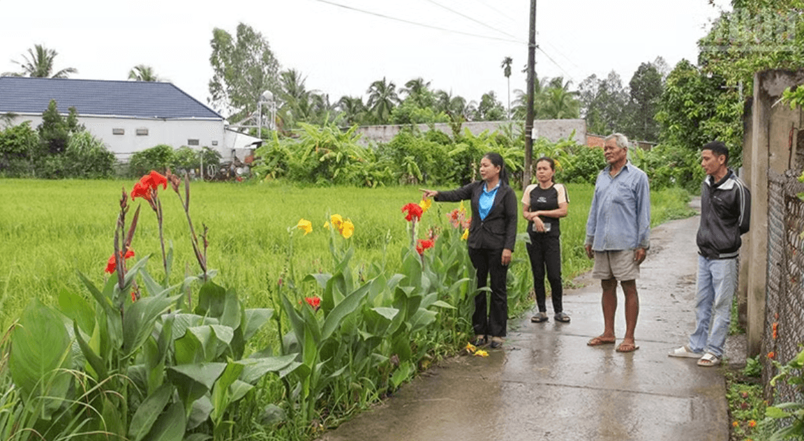 Duong giao thong Vinh Long