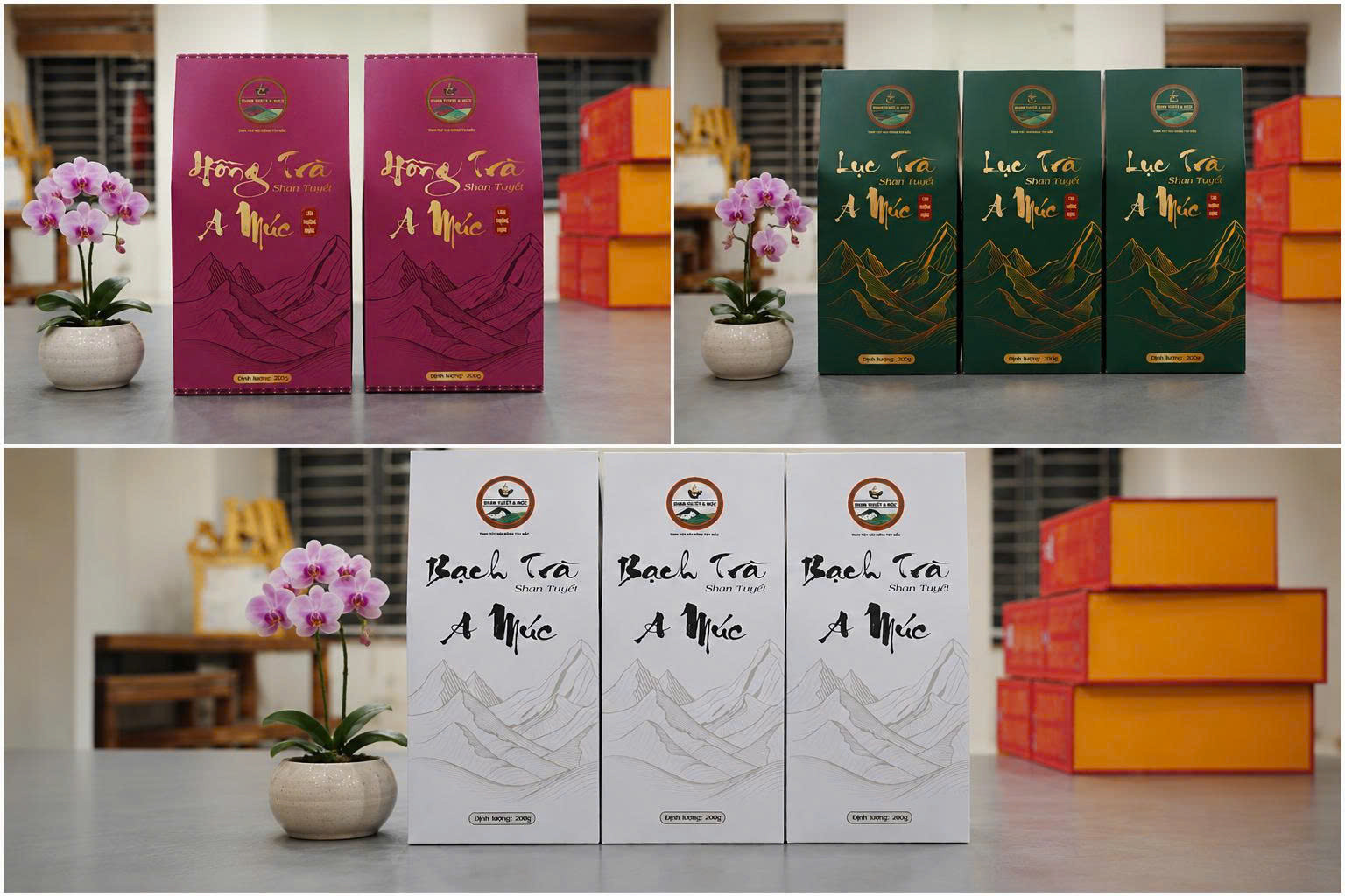 Ba sản phẩm chè Shan tuyết A Múc (Hồng trà, Lục trà và Bạch trà) của chủ thể tham gia đánh giá, phân hạng sản phẩm OCOP năm 2026. Ảnh snnptnt.laocai.gov.vn