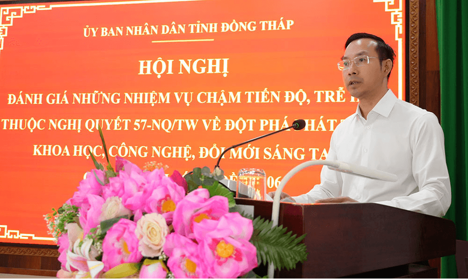 Dong Thap 3