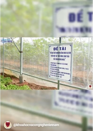 KH&CN từng bước rời khỏi phòng thí nghiệm, hiện diện trên những thửa ruộng, khu vườn tại Quảng Ngãi