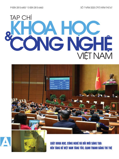 Số 7 năm 2025