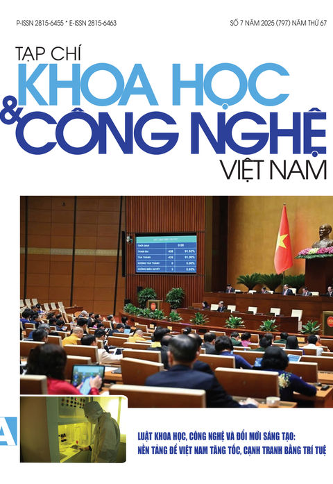 Số 7 năm 2025