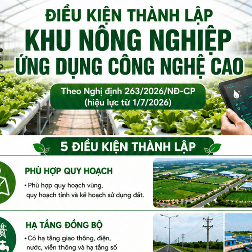 [Infogaphic] Điều kiện thành lập khu nông nghiệp ứng dụng công nghệ cao