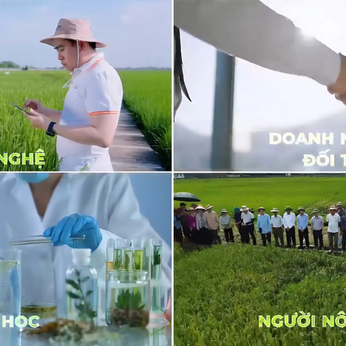 Đổi mới sáng tạo từ khu vực tư nhân: Kiến tạo hệ sinh thái nông nghiệp xanh hướng tới Net Zero
