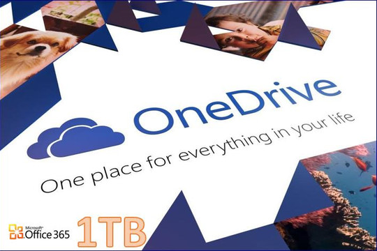  Được hỗ trợ 1TB lưu trữ trên OneDrive khi đăng ký sử dụng Office 365 