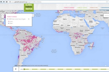  Trang web theo dõi nạn phá rừng của Google 