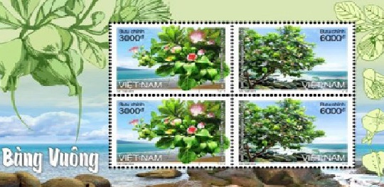  Phát hành bộ tem "Bàng vuông" khẳng định chủ quyền biển đảo Việt Nam 