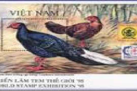  Đón tết Đinh Dậu – nhớ về hình ảnh con gà trên tem bưu chính Việt Nam 