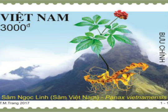  Bộ tem bưu chính về Sâm Ngọc Linh 
