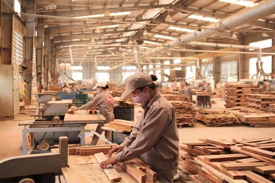  Xưởng gỗ và thực trạng an toàn lao động tại xưởng 