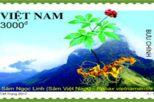  Phát hành bộ tem Sâm Ngọc Linh tại 168 nước trên thế giới 