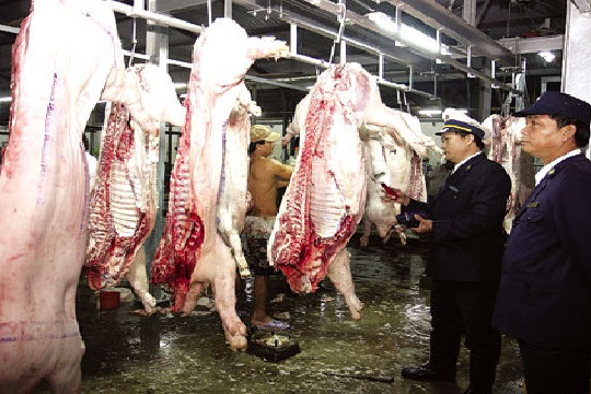  Kiểm soát hoạt động giết mổ gia súc, gia cầm: Nhu cầu tăng - nỗi lo tăng 