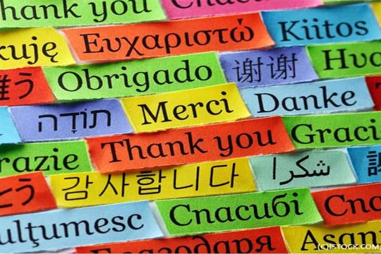  Website đa ngôn ngữ giúp phát triển Thương mại điện tử 