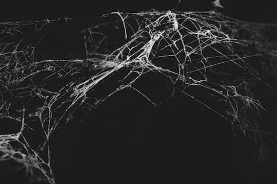  Những điều cần biết về Dark web 