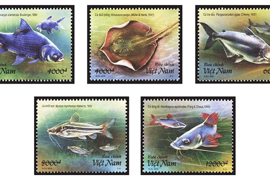  Phát hành bộ tem bưu chính chuyên đề “Cá sông Mê Kông” 