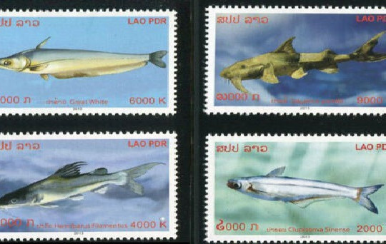  Bộ tem bưu chính về đề tài “Cá sông Mê Kông” 