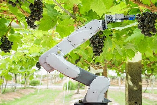  Hà Lan giải quyết các thách thức trong nông nghiệp bằng công nghệ 