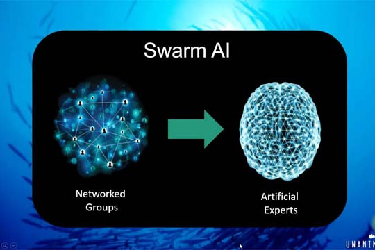  Liệu Swarm AI có phải là câu trả lời cho nỗi sợ hãi về AI và công việc? 