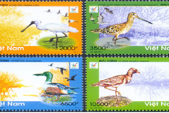  Hình ảnh loài chim bói cá sẽ lên tem bưu chính Việt Nam năm 2020 