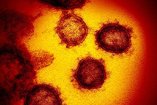 CDC Hoa Kỳ công bố một cách thức lây truyền virus SARS-CoV-2 mới, xa tới 4m