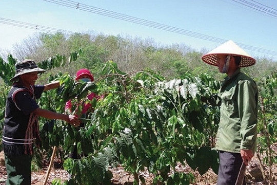 Huyện Ngọc Hồi, Kon Tum: Thực hiện hiệu quả Chương trình giảm nghèo bền vững