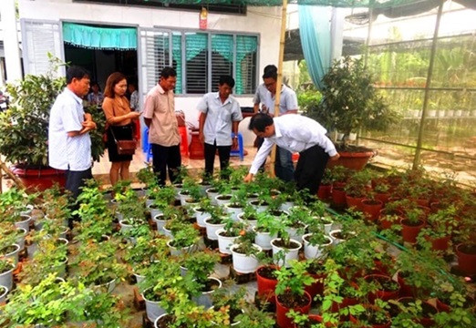 Cần Thơ: Ứng dụng công nghệ cao vào phát triển sản xuất nông nghiệp