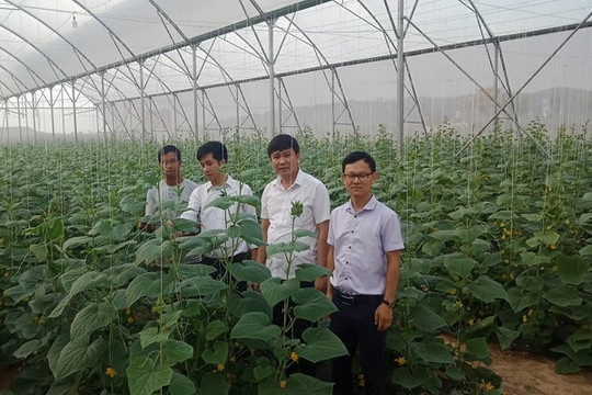 Xã Trí Yên, Bắc Giang về đích nông thôn mới năm 2020