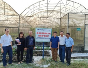 Hiệu quả bước đầu từ việc ứng dụng KH&CN vào nhân giống và sản xuất cam chất lượng cao