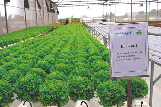 VNPT hỗ trợ Tập đoàn Lộc Trời ứng dụng AI phát triển nông nghiệp thông minh