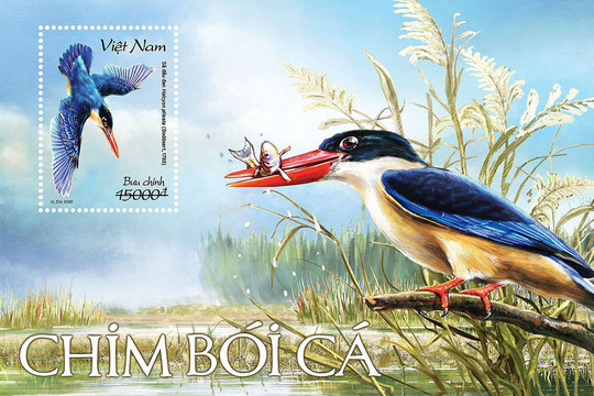 Phát hành bộ tem bưu chính bảo tồn loài chim bói cá