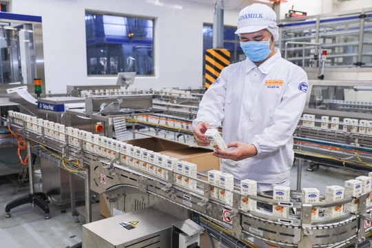 Tin vui đầu năm mới của ngành sữa: Vinamilk xuất lô hàng lớn đi Trung