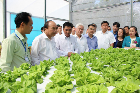 Bình Phước hướng đến địa phương tiên phong về phát triển nông nghiệp công nghệ cao
