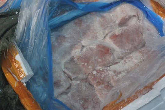 Thanh Hóa: xử phạt và buộc tiêu hủy 9 tấn nầm lợn không rõ nguồn gốc