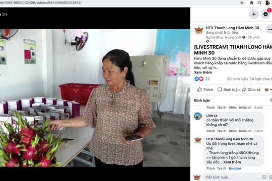 Chuyển đổi số, Bình Thuận thí điểm giúp nông dân livestream kinh doanh nông sản