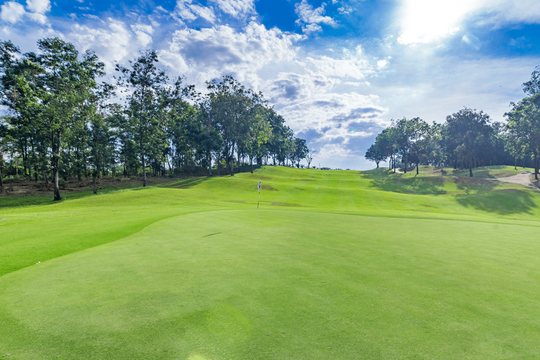 Sân golf Đồng Nai: Điểm đến lý tưởng dịp cuối tuần