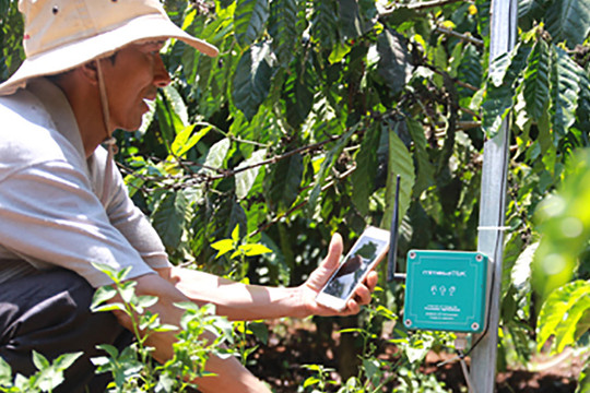 5 startup nông nghiệp công nghệ Việt tích cực đổi mới  sáng tạo