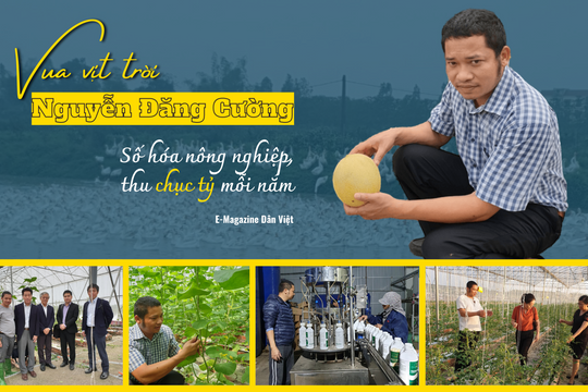 Nông dân Nguyễn Đăng Cường: "Nuôi vịt bằng điện thoại giúp tôi thu hàng chục tỷ mỗi năm"