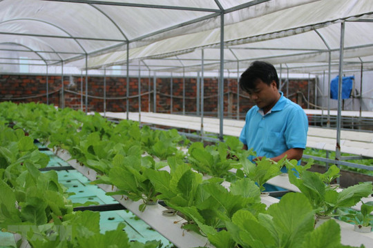 Bắc Giang: Ứng dụng hiệu quả công nghệ số phát triển nông nghiệp
