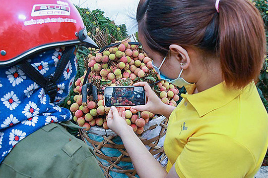 Từ ngôi làng nhỏ Việt Nam thành tay bán buôn xuyên biên giới